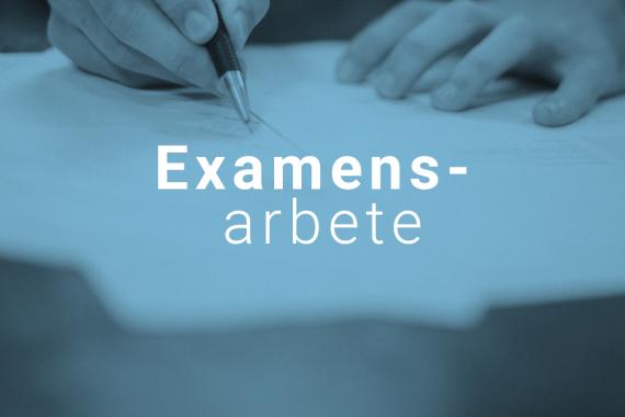 examensarbete