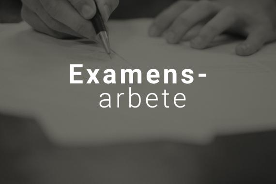 examensarbete