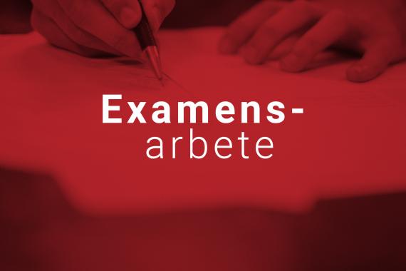 examensarbete