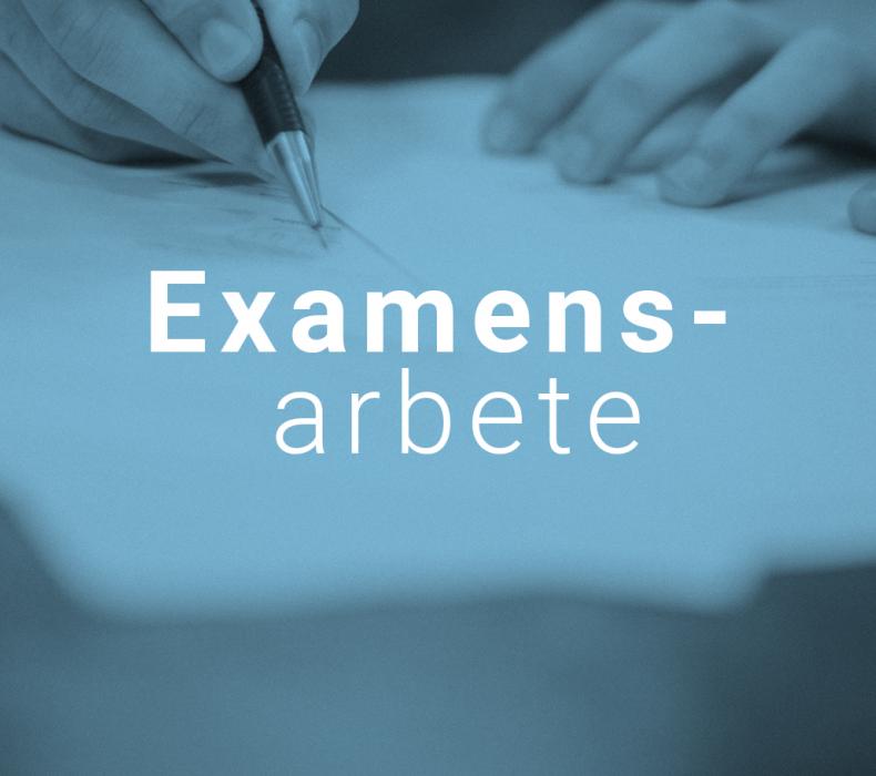 examensarbete