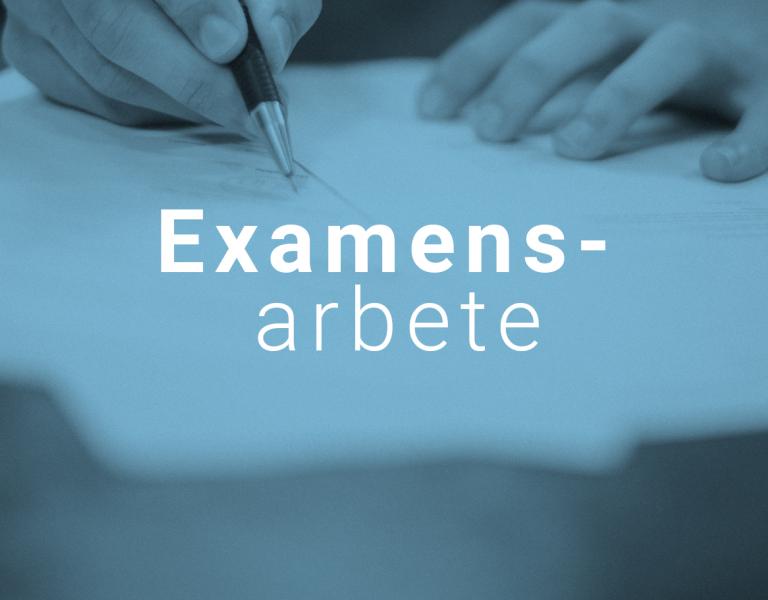 examensarbete