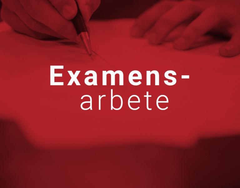 examensarbete